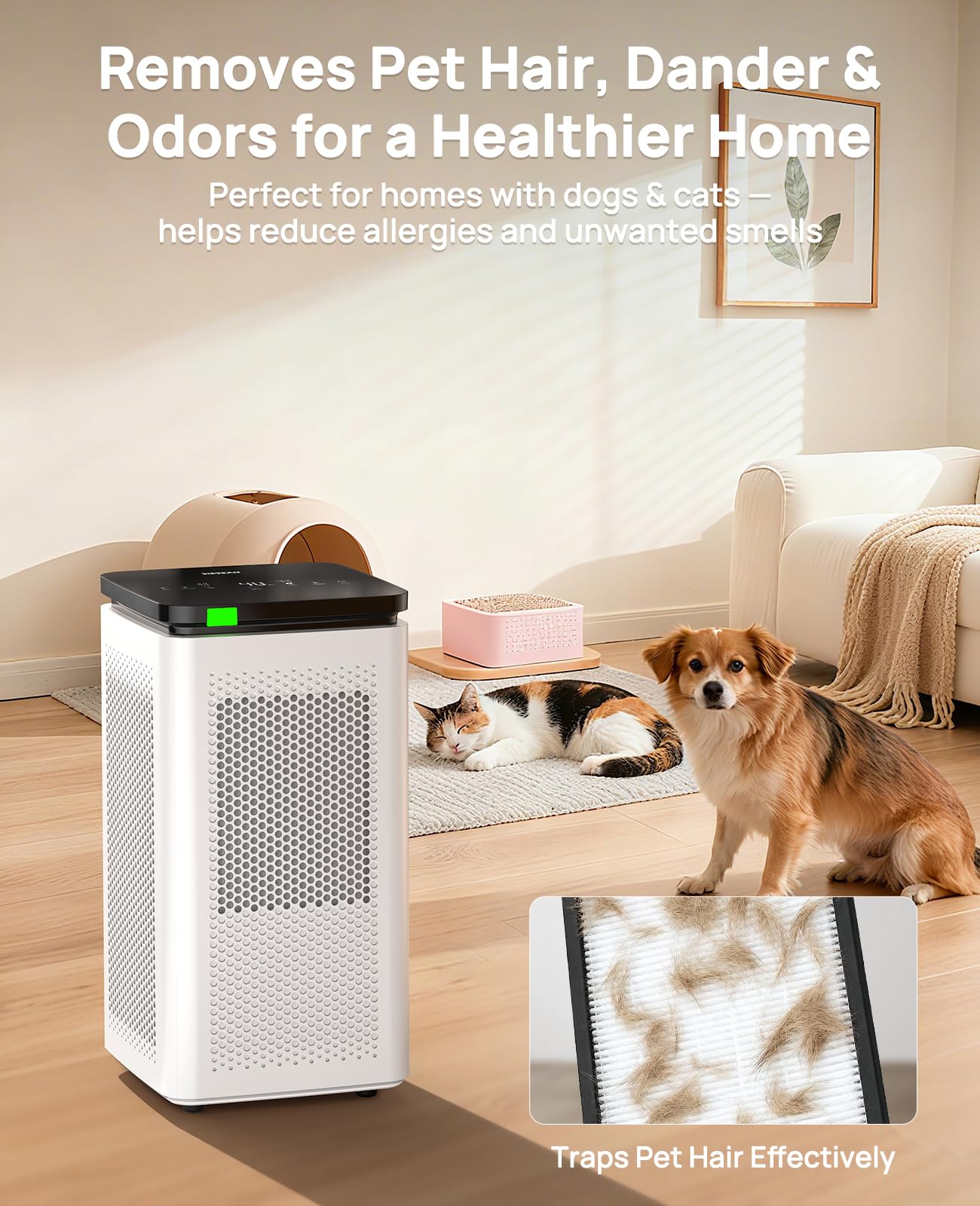 SIESEAN Air Purifier for Large Rooms, 99.97% HEPA Filtration