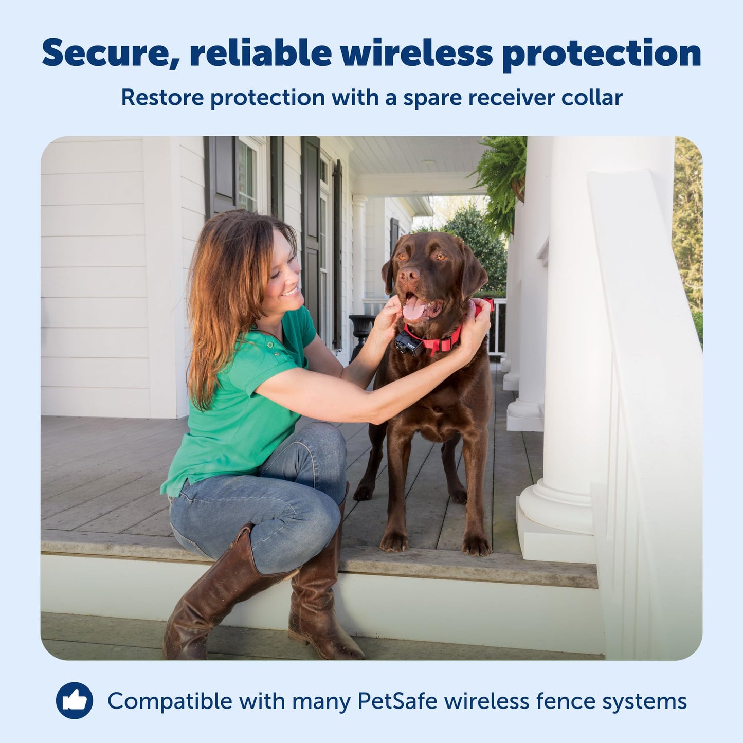 PETSAFE Wireless Pet Containment System Receiver Collar
