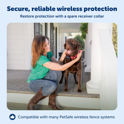 PETSAFE Wireless Pet Containment System Receiver Collar