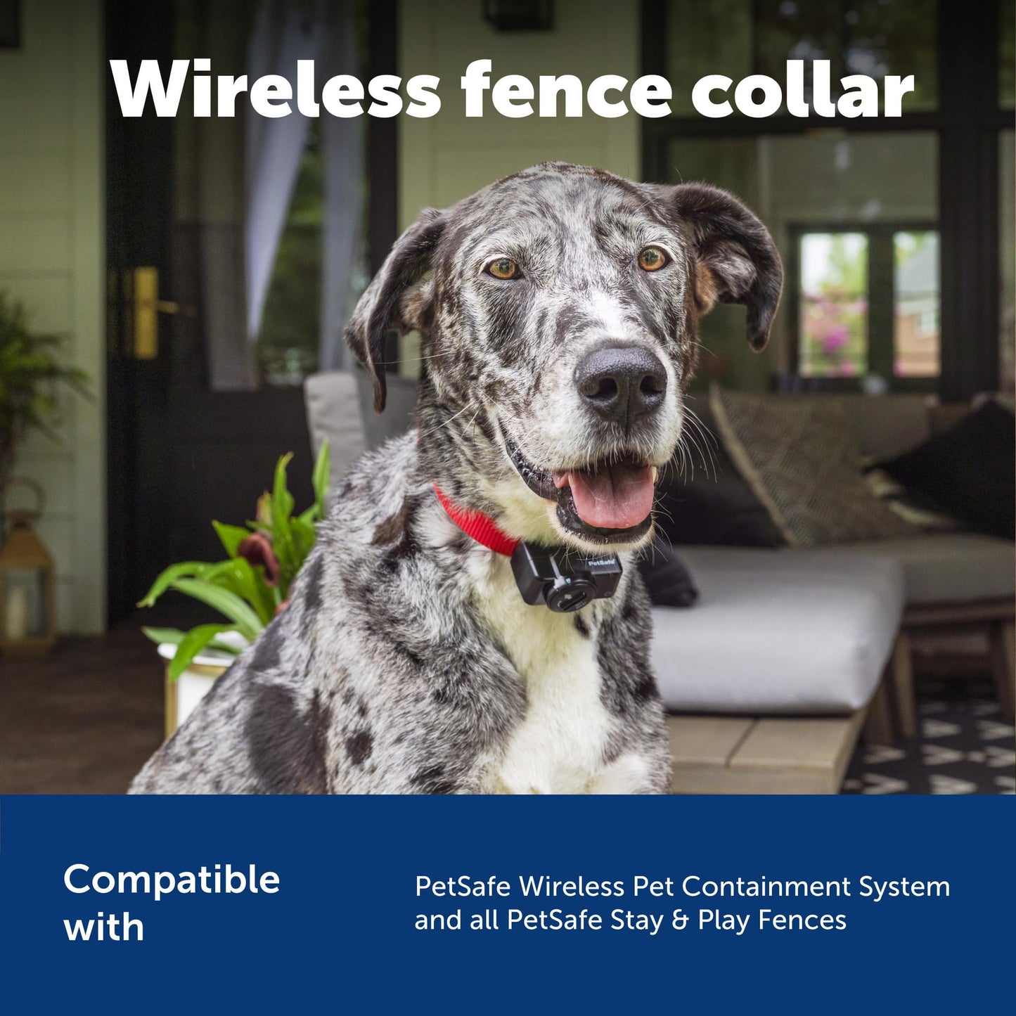 PETSAFE Wireless Pet Containment System Receiver Collar