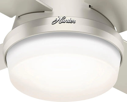 Hunter Fan Company Dempsey Low Profile Indoor / Outdoor Ceiling Fan with LED Light and Remote Control, 44", Matte Nickel