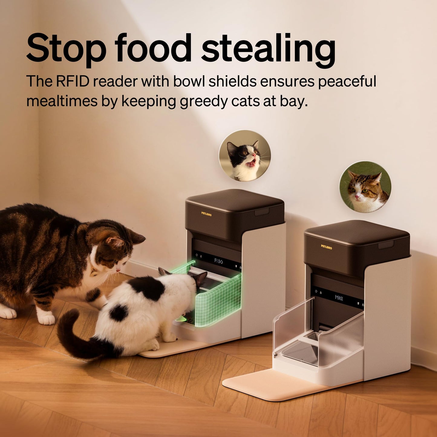 PETLIBRO RFID Cat Feeder - Programmable Wi-Fi Food Dispenser