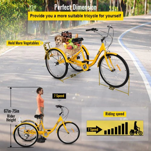 Adult Tricycle 26 7 Speed 3 Wheel Trike Bicycle Bike Cruise w Basket Shooping