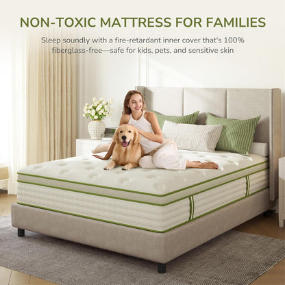 Queen Mattress 10 Inch Hybrid Memory Foam Mattress in a Box with Individual Pocket Innerspring for Motion Isolation & Pressure Relief, Edge Support, Medium Firm