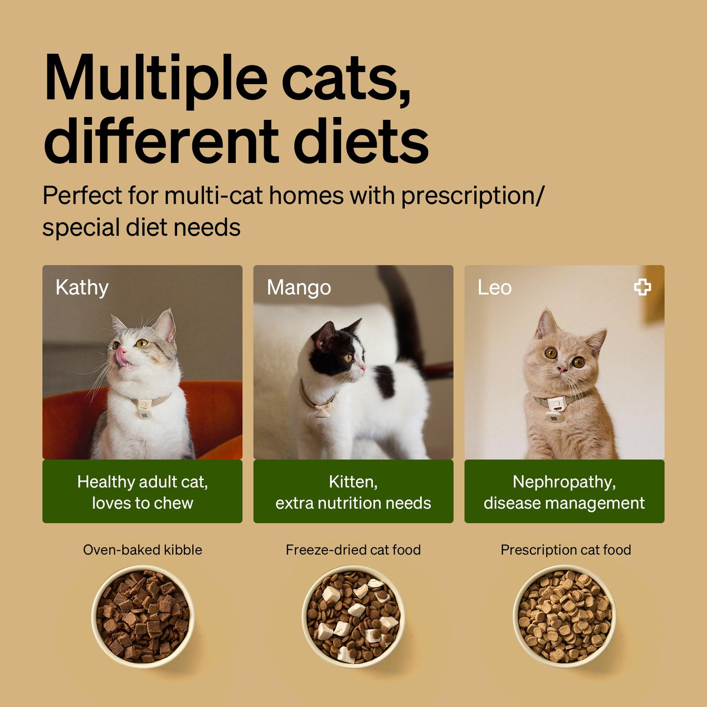 PETLIBRO RFID Cat Feeder - Programmable Wi-Fi Food Dispenser
