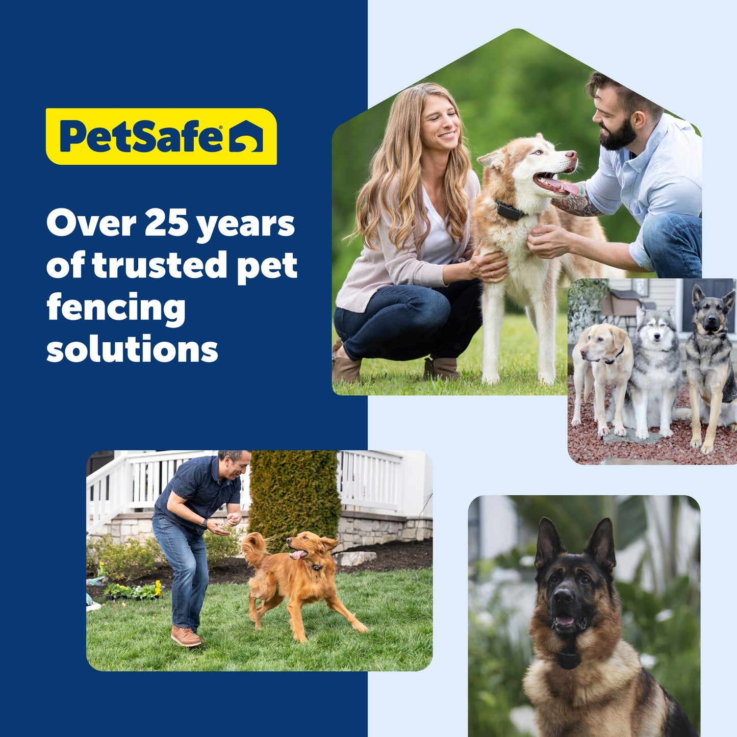 PETSAFE Wireless Pet Containment System Receiver Collar