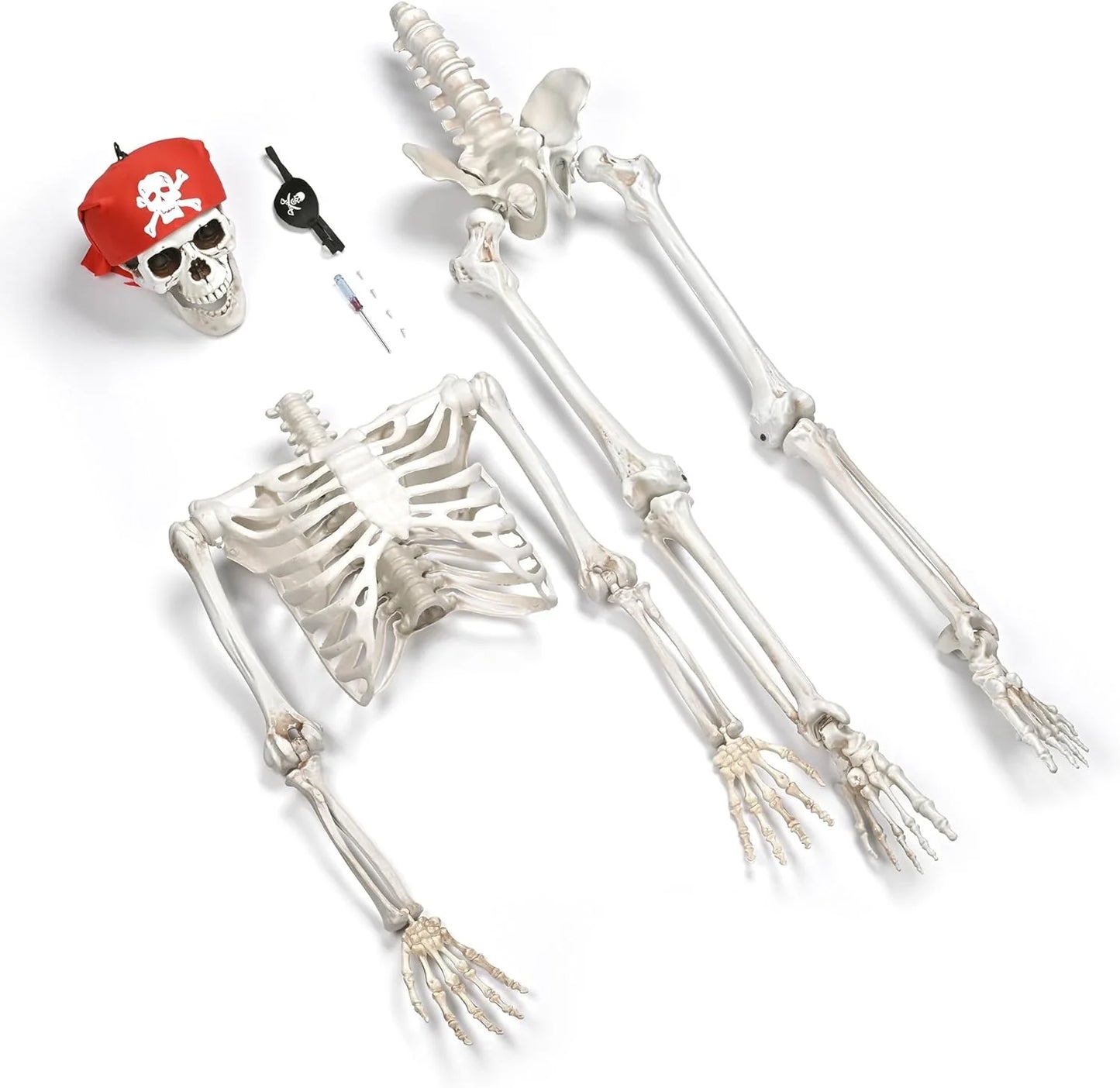 Halloween decoration skull skull
