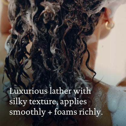 Living Proof No Frizz Shampoo – Controls Frizz, Smoothes, Softens, Protects from Humidity, Gentle for All Hair Types