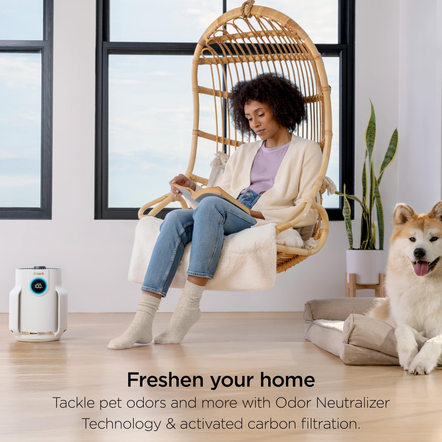 SHARK NeverChange Compact Pro Air Purifier for Home