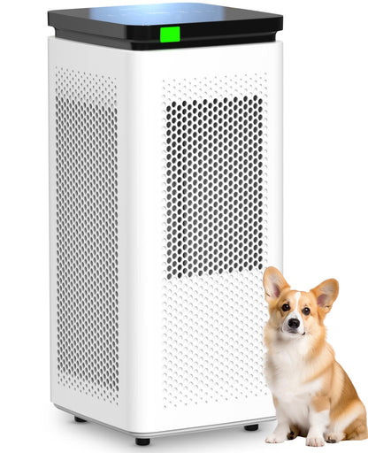 SIESEAN Air Purifier for Large Rooms, 99.97% HEPA Filtration