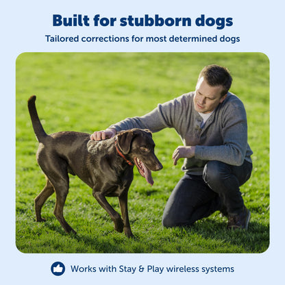 PETSAFE Stay & Play Wireless Fence Receiver Collar for Dogs
