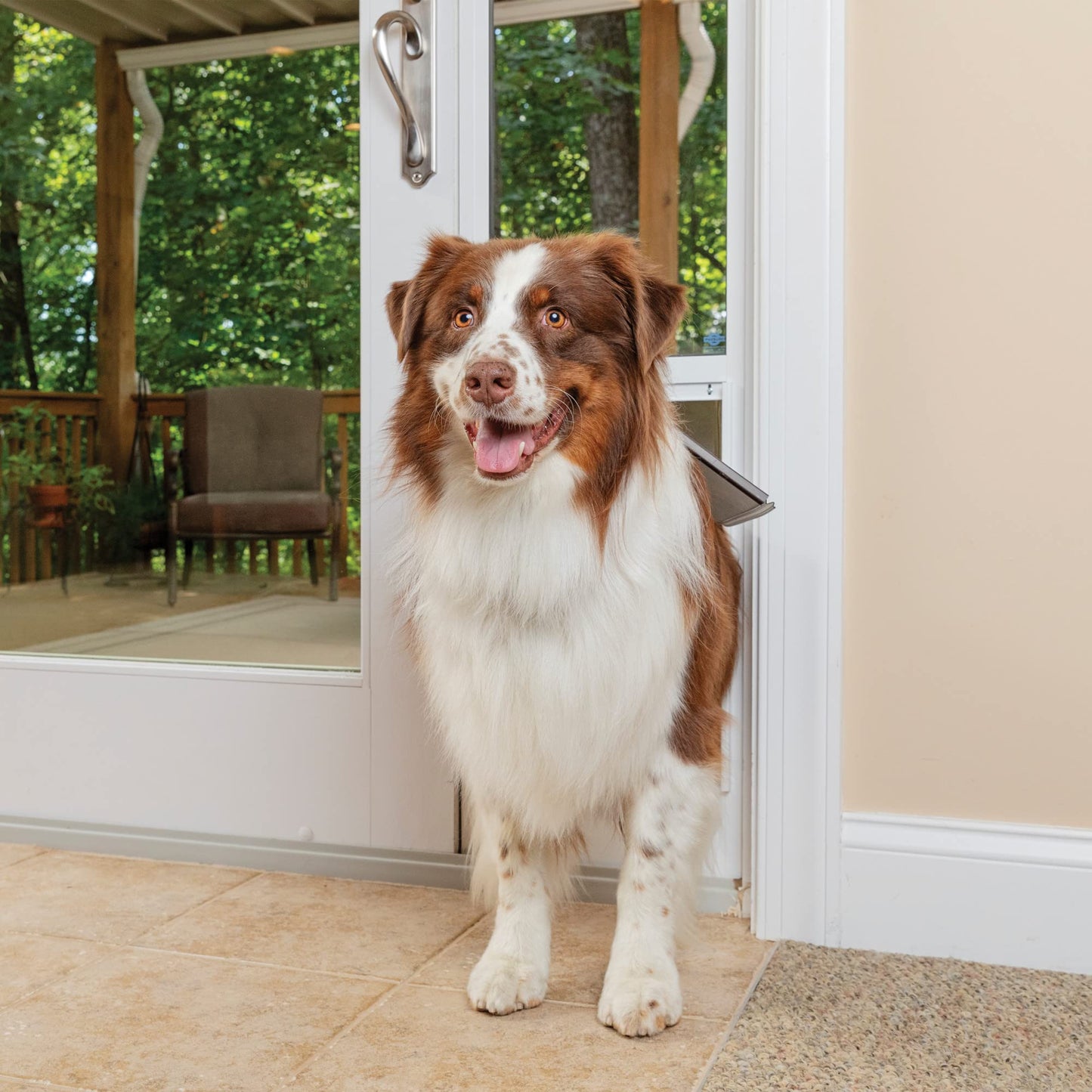 PETSAFE Sliding Glass Pet Door - No-Cut DIY Install for Renters
