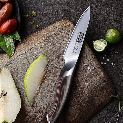 HOSHANHO 3.75 inch Paring Knife, Japanese High Carbon Stainless Steel Small Kitchen Knives, Ultra Sharp Fruit Knife with Ergonomic Pakkawood Handle